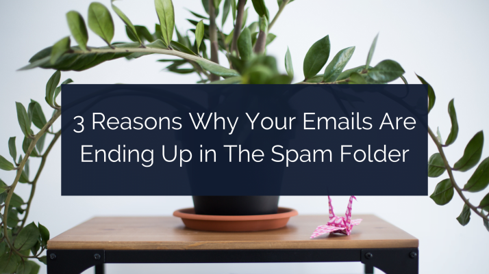 3 Reasons Why Your Emails Are Ending Up in The Spam Folder